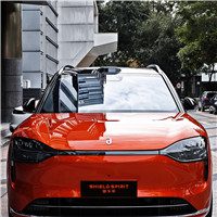 SHIELD SPIRIT logo on company wall or vehicle surface