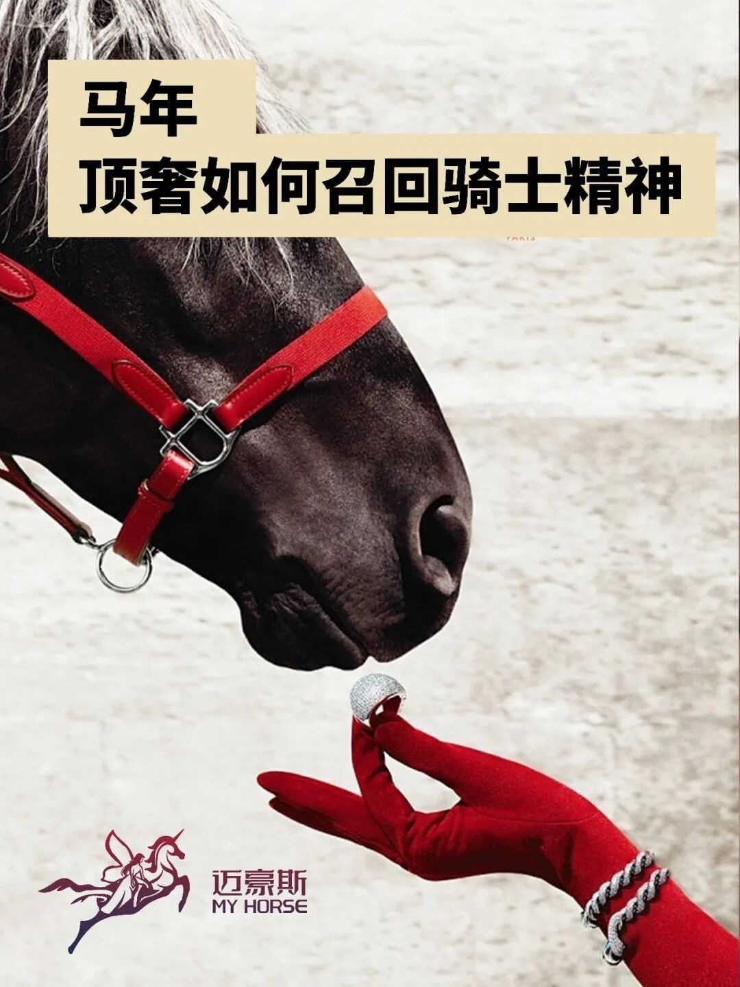 My Horse economy paint protection film brand visual