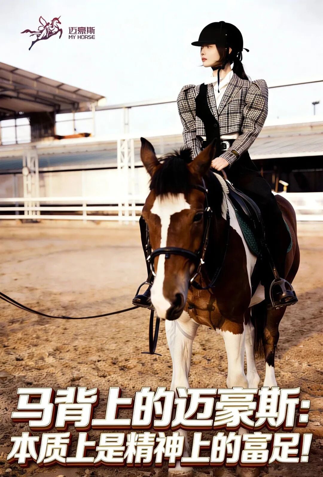 My Horse economy PPF poster