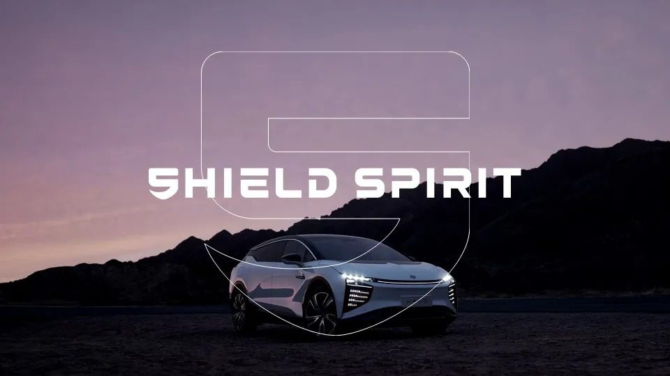 SHIELD SPIRIT brand visual 5