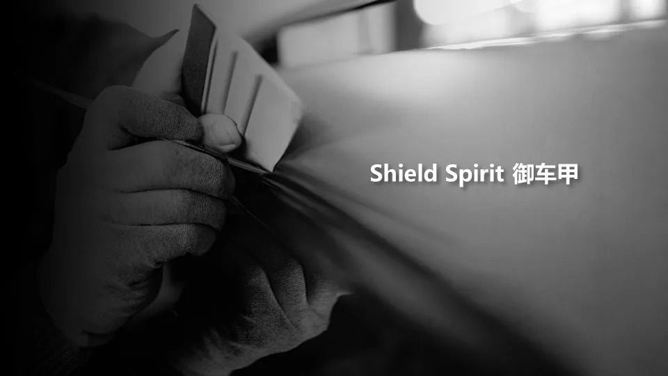 SHIELD SPIRIT brand visual 7