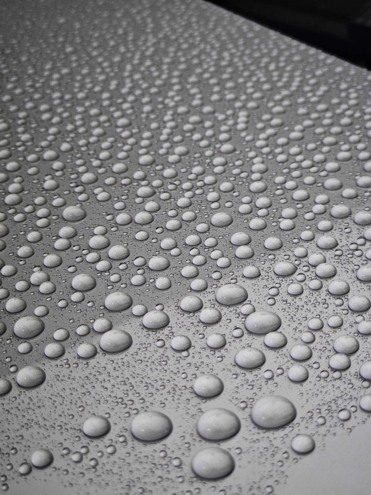 Hydrophobic water beading test on paint protection film surface demonstrating excellent stain resistance